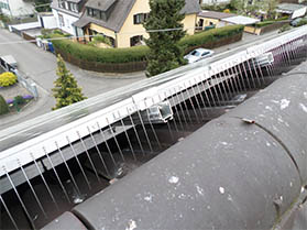 Taubenabwehr auf Solaranlagen | Landsberg am Lech